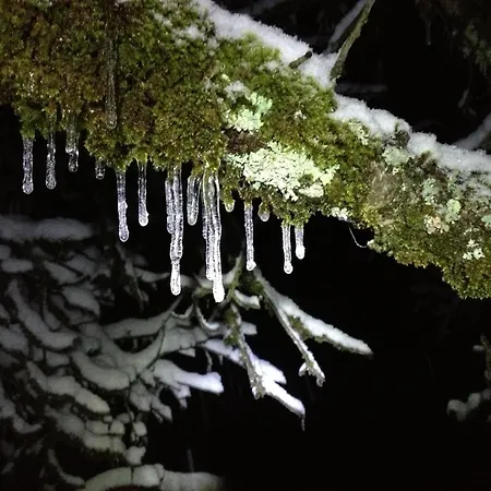 Heidi's 3* Frenières