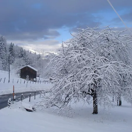 بيت ضيافة Heidi's