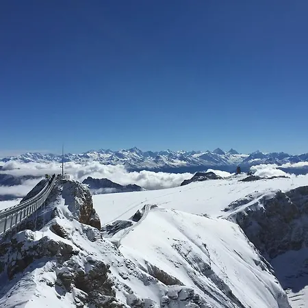 Heidi's فرينيرس