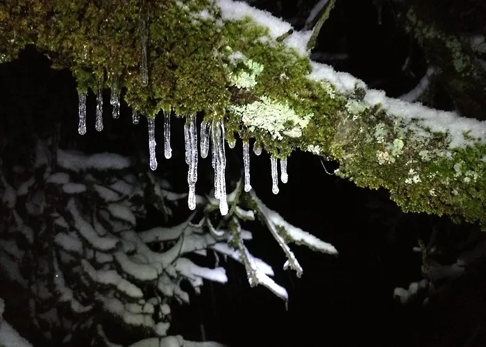 Heidi's 3* Frenières