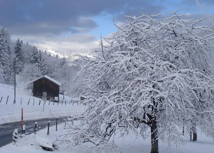 Casa de hóspedes Heidi's