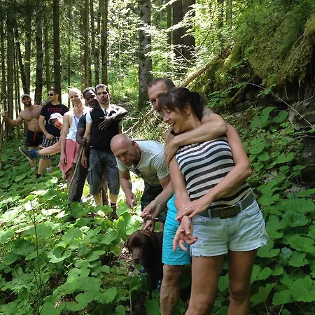 海蒂旅馆 弗瑞涅尔斯